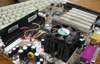 Elizangela Munhoz Pereira - Foto 1