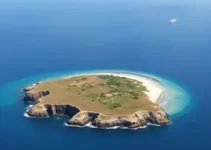 Selo Prata de Atendimento