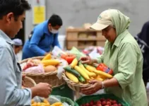 distribuição de cestas básicas