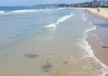 praias impróprias para banho