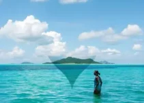 Saúde em foco na Ilha