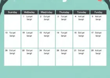 Últimas noticias de Ilha Comprida