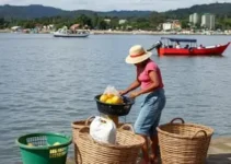 entrega de cestas básicas em Ilha Comprida