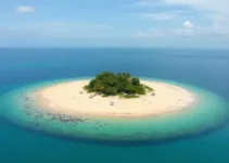 Ilha do Cardoso