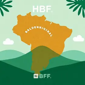 HBF+Brazil