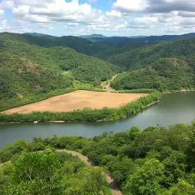 observação de vida silvestre