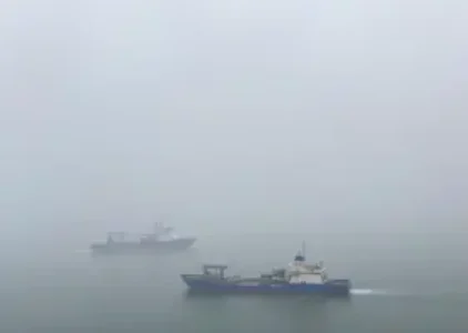 Últimas noticias de Ilha Comprida