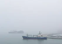 nevoeiro Porto de Santos
