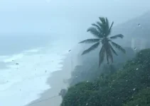 Defesa Civil granizo vento litoral norte São Paulo