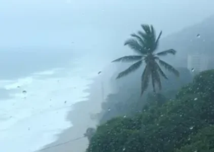 Últimas noticias de Ilha Comprida