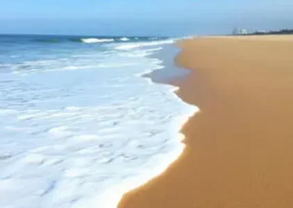 Últimas noticias de Ilha Comprida