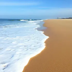 espuma no litoral de SP
