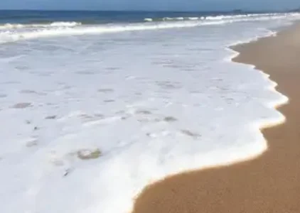 Últimas noticias de Ilha Comprida
