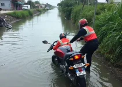 Últimas noticias de Ilha Comprida