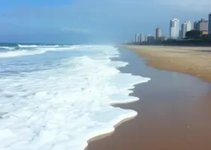 Últimas noticias de Ilha Comprida
