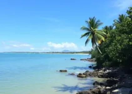 Últimas noticias de Ilha Comprida