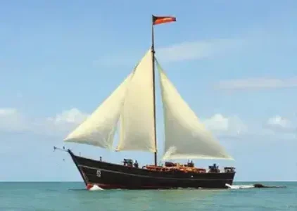 Últimas noticias de Ilha Comprida